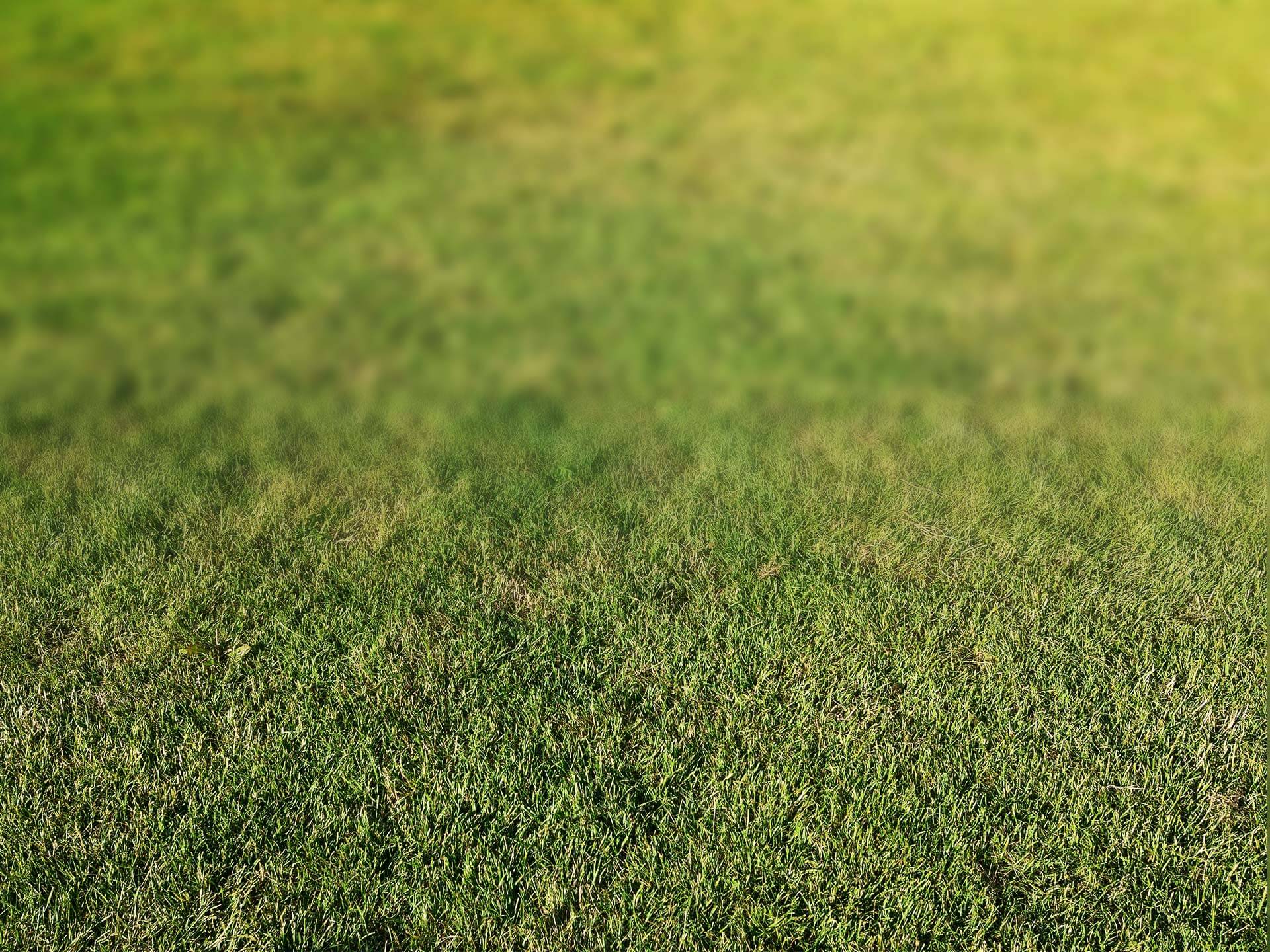 Home - Ingenieurbüro Stockel – Sondermaschinen – CE-Kennzeichnung